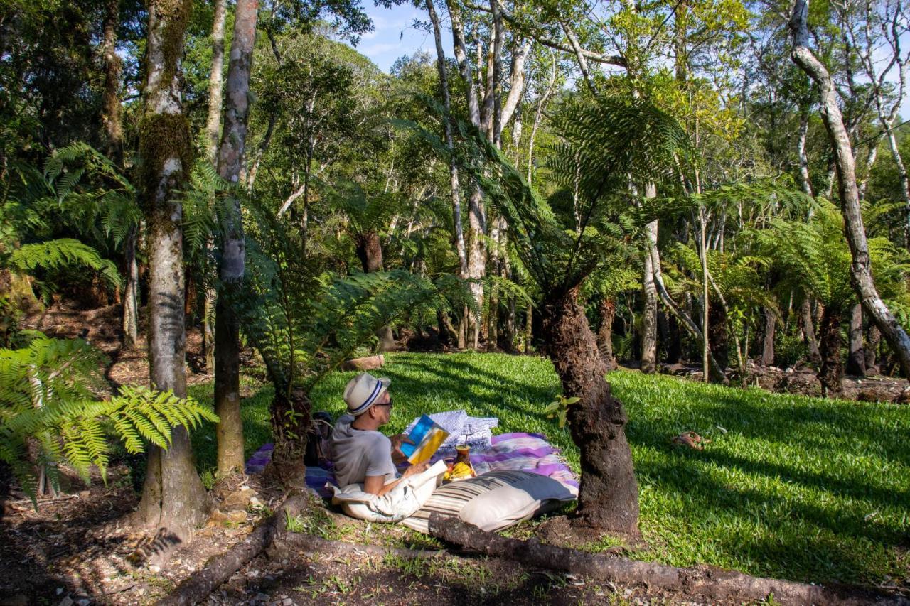 Lodge Morada Do Xaxim - Hortência São Francisco de Paula